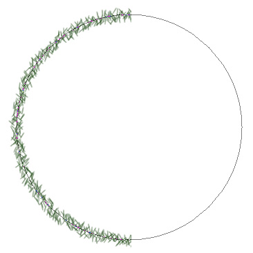 Stroke the Path with the Brush Tool