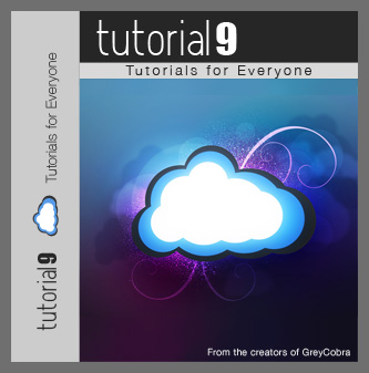 Software box art