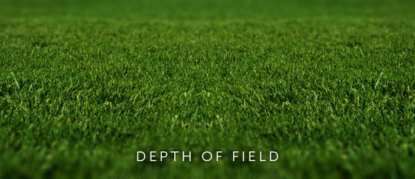 Enhance Graphics with Easy Depth of Field Enhance Graphics with Easy Depth of Field