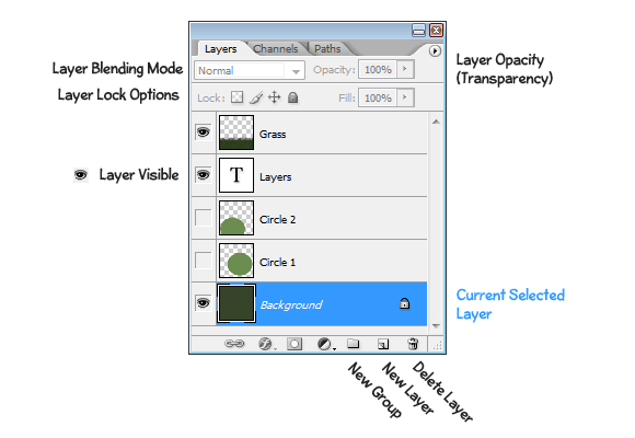 Anatomy of the Layer Palette