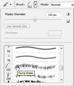 Select a brush Preset