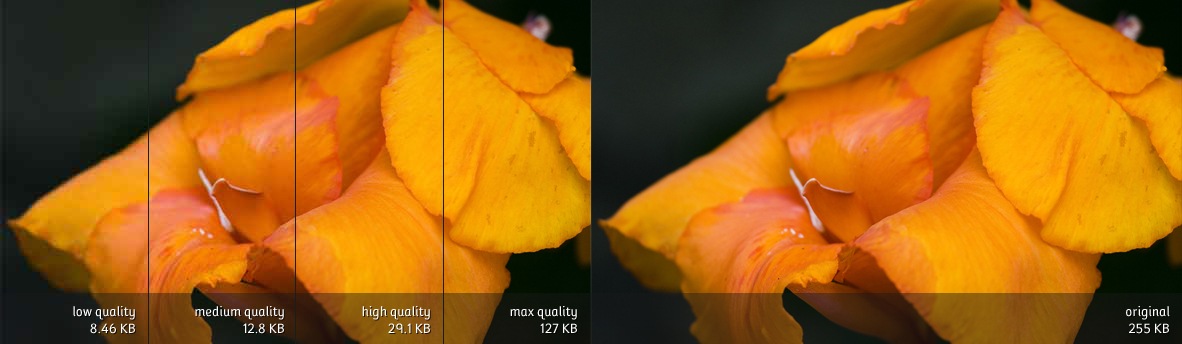 Comparison of JPEG compression presets