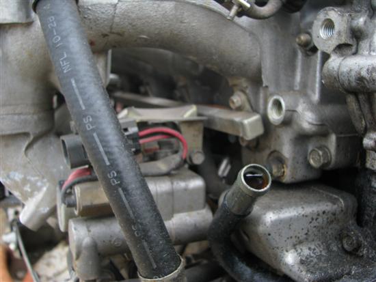 The original photo used in this tutorial