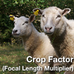 Crop Factor (Focal Length Multiplier)