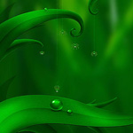 Create a Grass Themed Wallpaper in Photoshop Create a Grass Themed Wallpaper in Photoshop