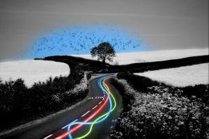 vibrantroadbw