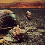 Snail Race Photoshop Tutorial Snail Race Photoshop Tutorial