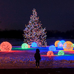 Christmas Photos