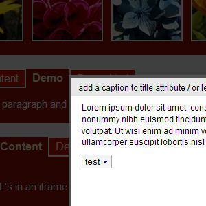 Alt Text
