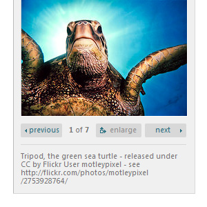 Alt Text