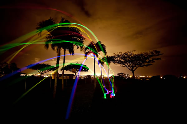 palm tree light