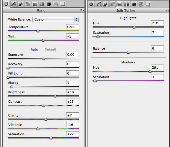 Settings in Camera Raw
