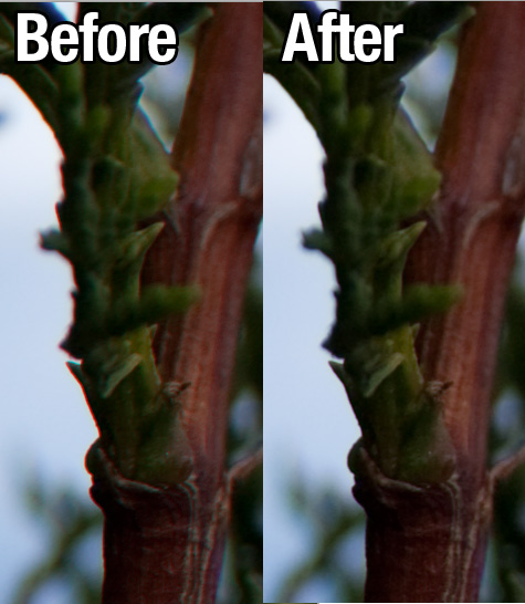 Chromatic Aberration Correction