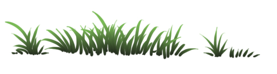 Brush Test