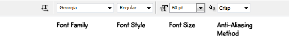 There are several different type tool options, including font family, font style, size, and anti-aliasing method.